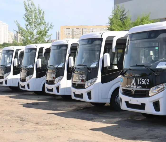 Автобусы