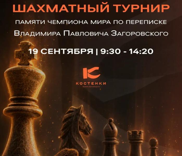 Шахматы