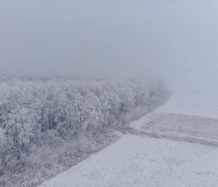 мокрый снег 