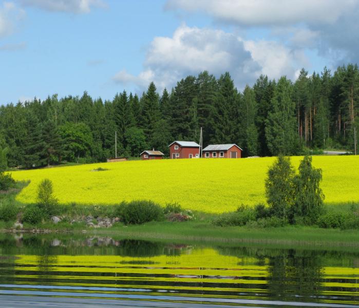 Село