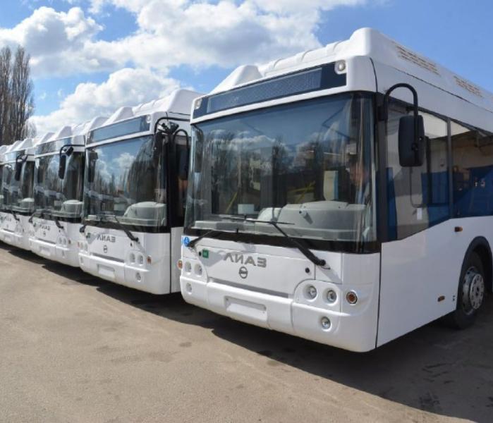 Автобусы