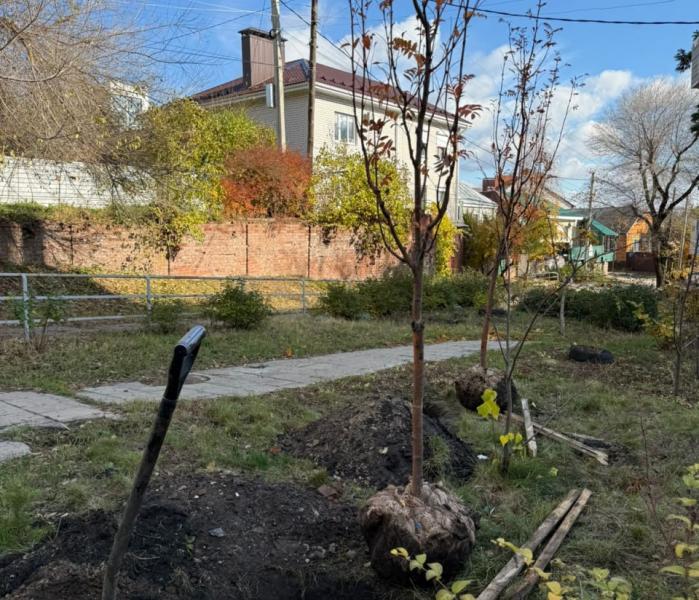 Озеленение