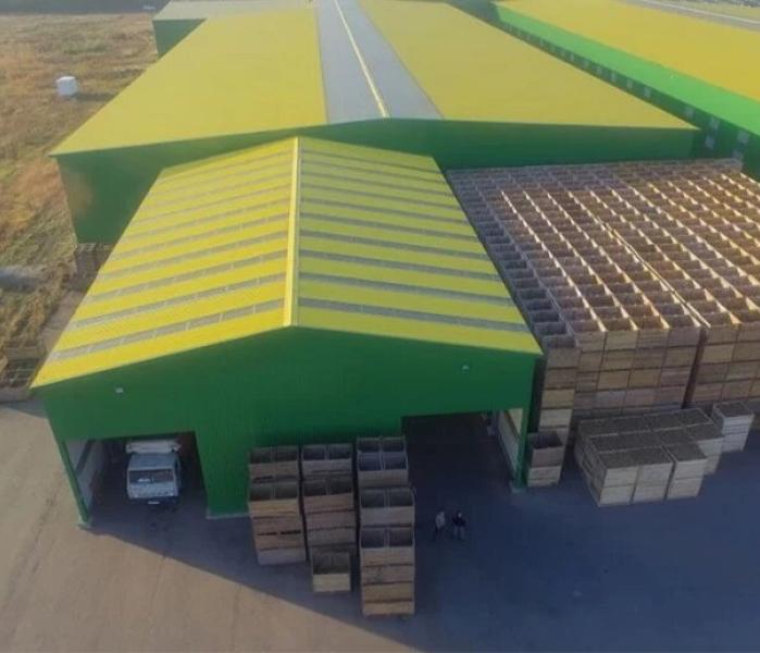 Овощехранилище