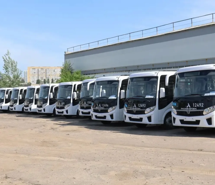 Автобусы