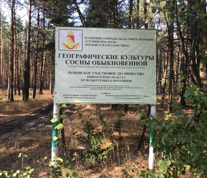 Вглту