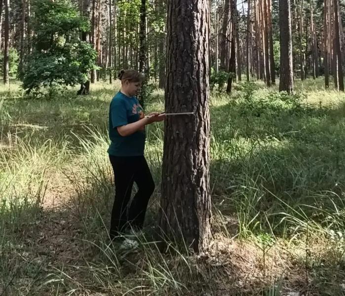 ВГЛТУ