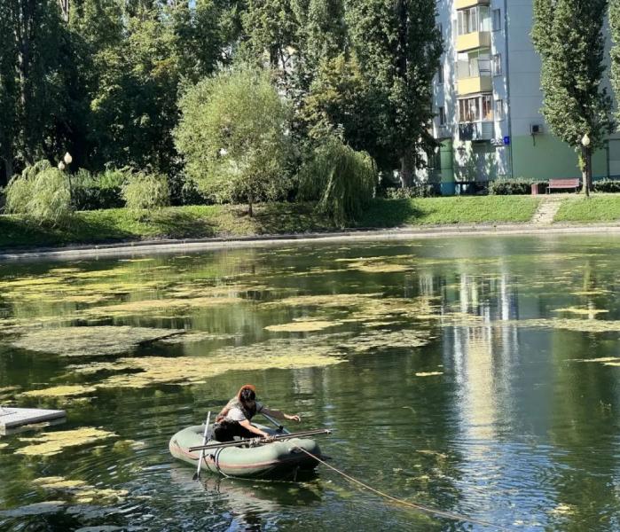 Кувшинки