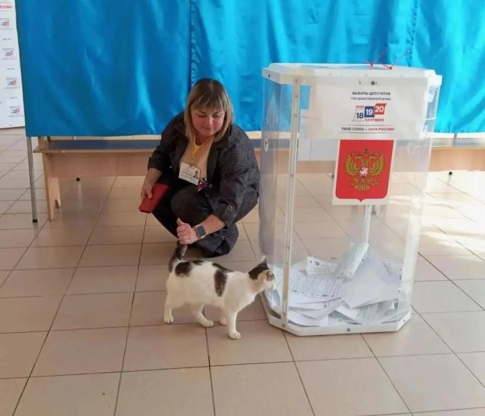 Выборы