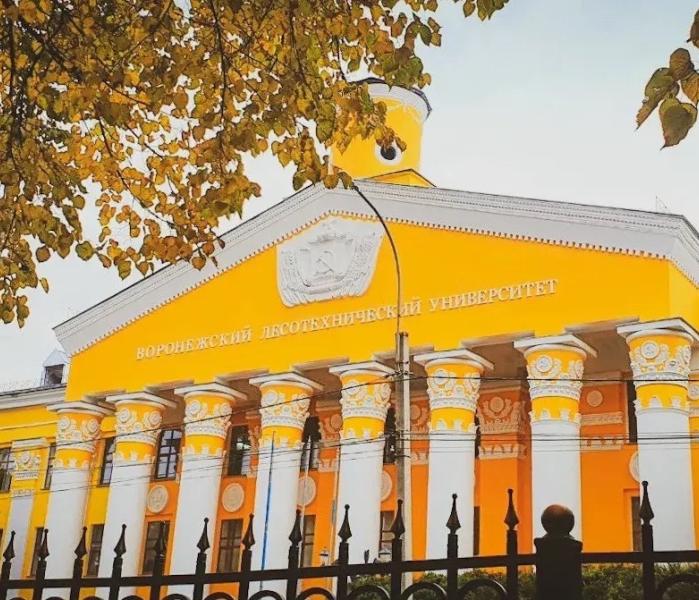 ВГЛТУ