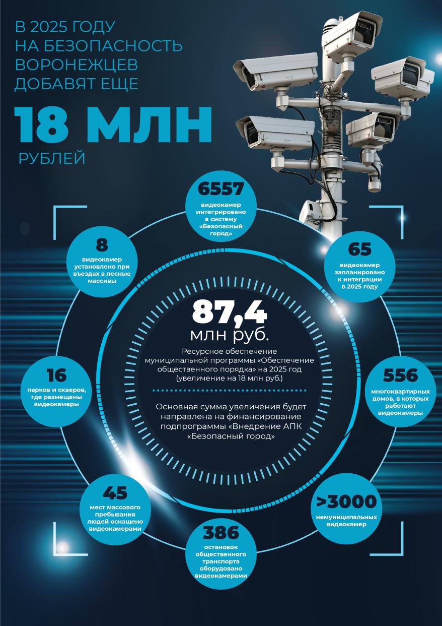 Инфографика Гордума