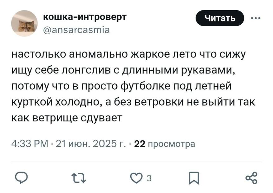 мем жара.jpg мем жара