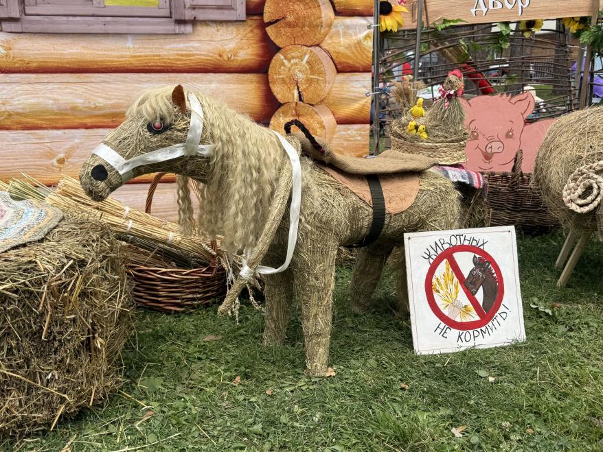 фестиваль.jpg фестиваль