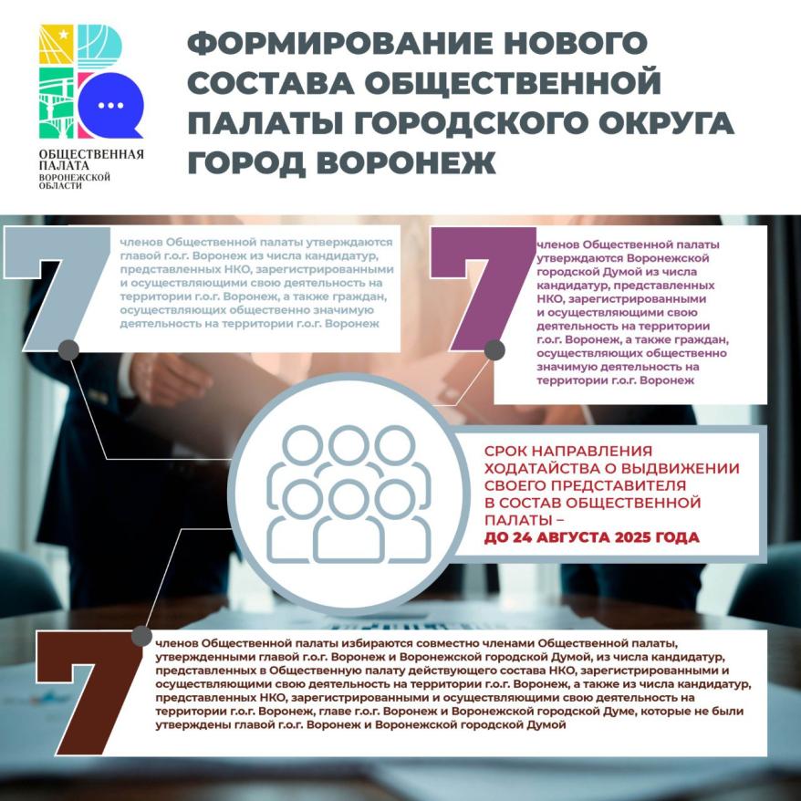 Инфографика Общественная палата.jpg Инфографика Общественная палата