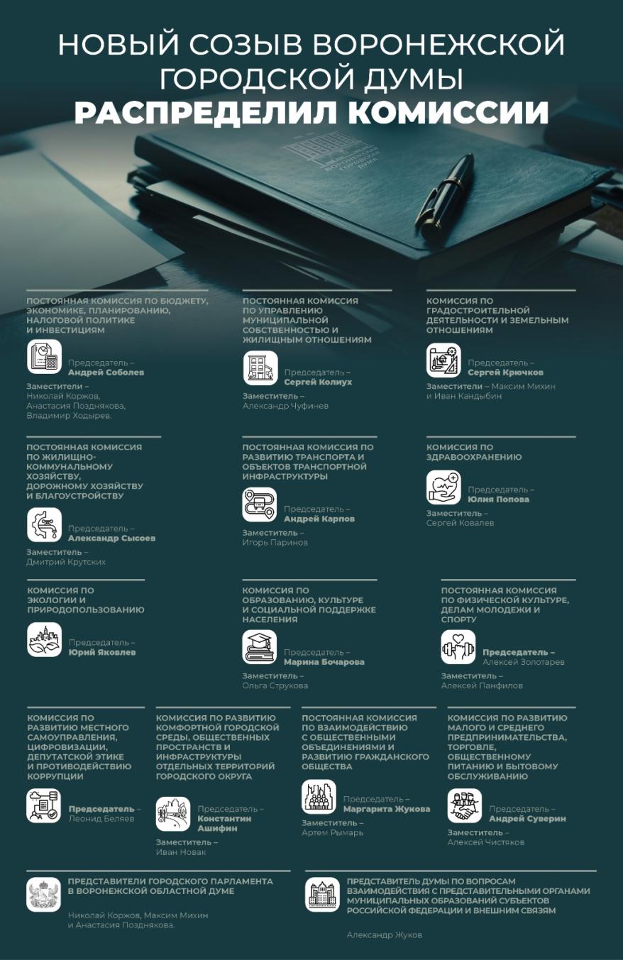 Инфографика Комиссии Гордумы.jpeg Инфографика Комиссии Гордумы
