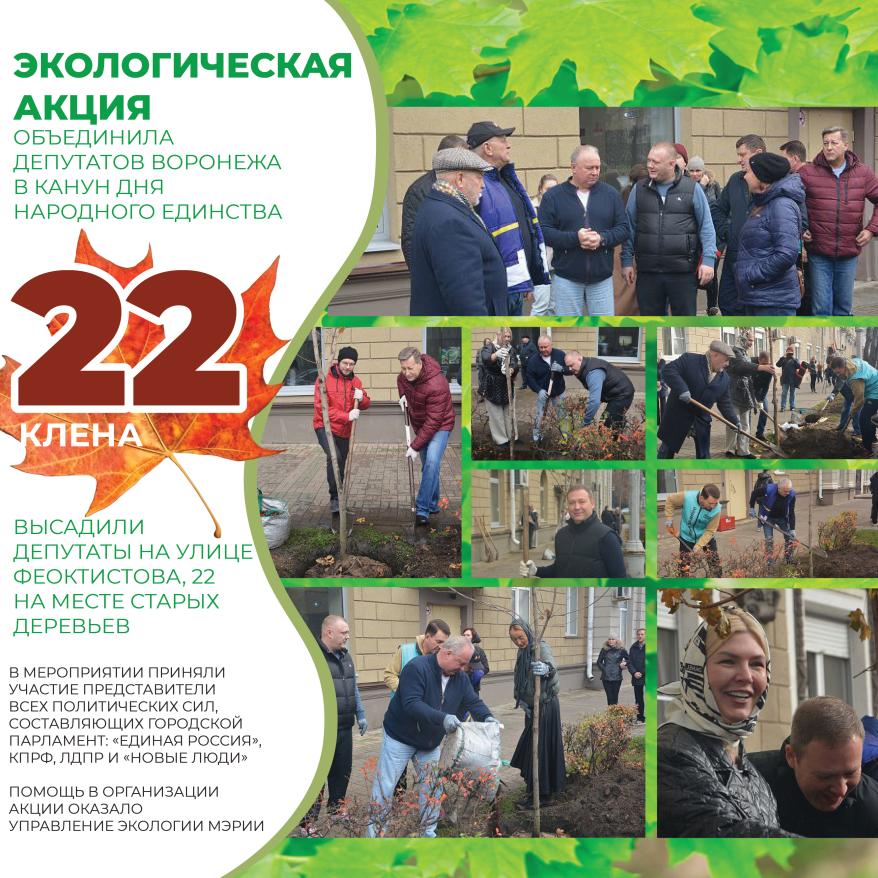 Инфографика 22 клена.jpg Инфографика